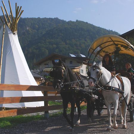 Reitanlage Dagnhof Lägenhet Walchsee Exteriör bild