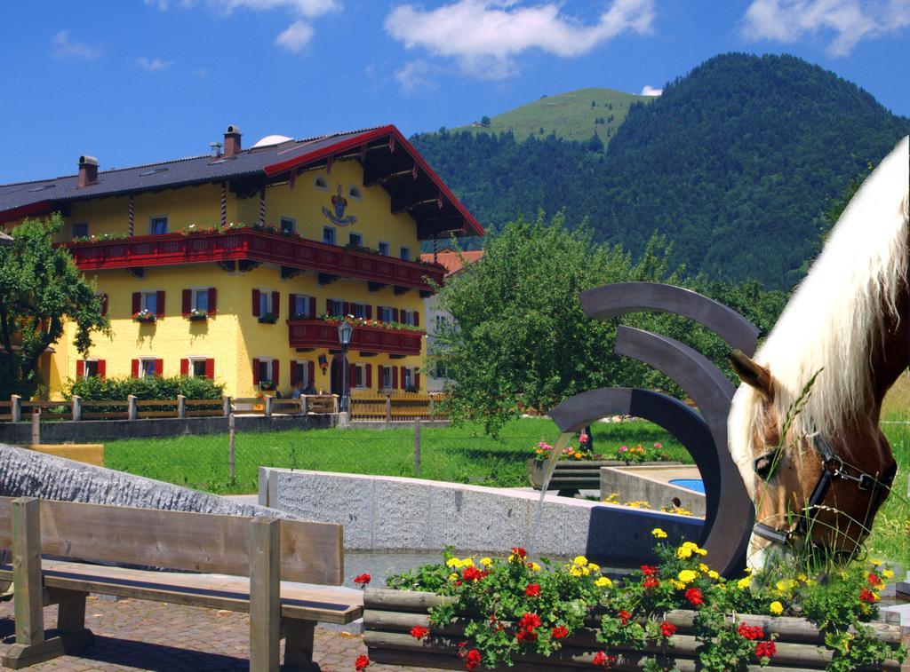 Reitanlage Dagnhof Lägenhet Walchsee Exteriör bild