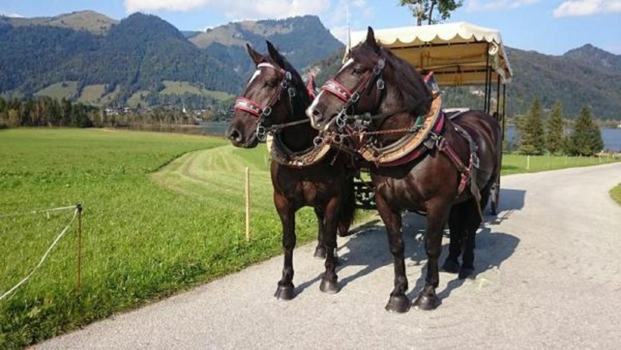 Reitanlage Dagnhof Lägenhet Walchsee Exteriör bild